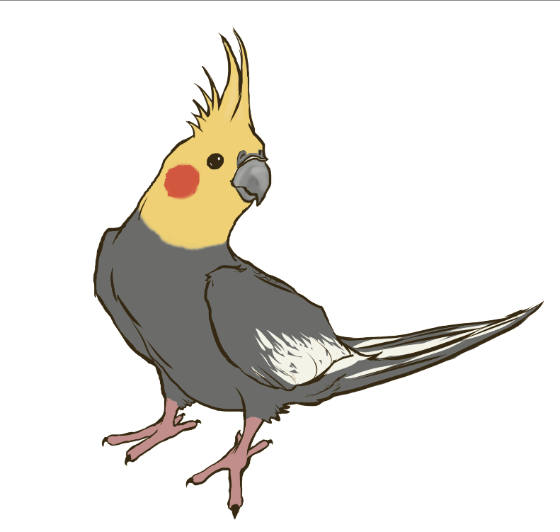 Simplified cockatiel, designed for stickers. Digital. Krita.